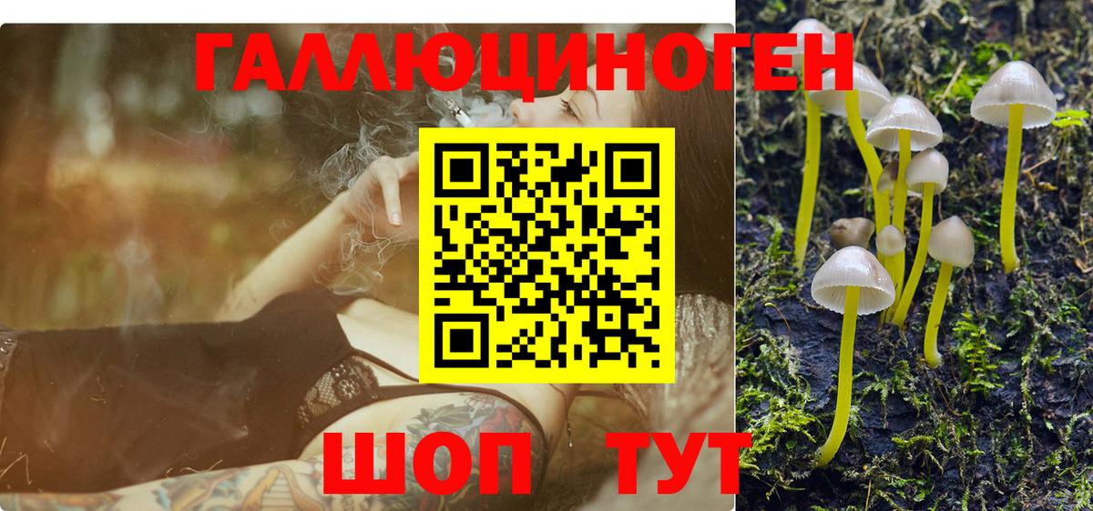Псилоцибиновые грибы Magic Shrooms Шебекино