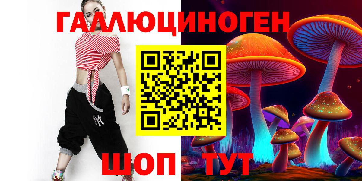 Шебекино  Псилоцибиновые грибы GOLDEN TEACHER  Псилоцибиновые грибы Psilocybe  Вход с VPN 