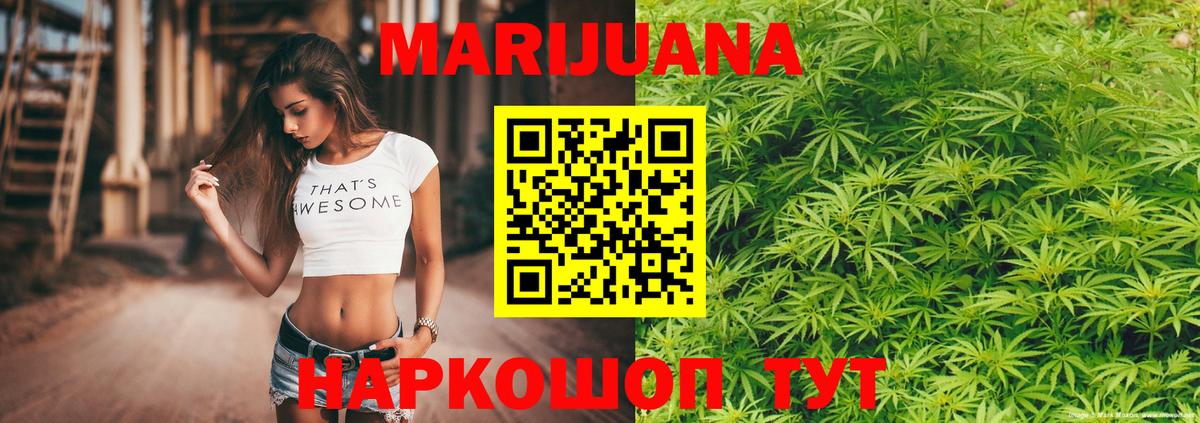 Канабис сатива Шебекино